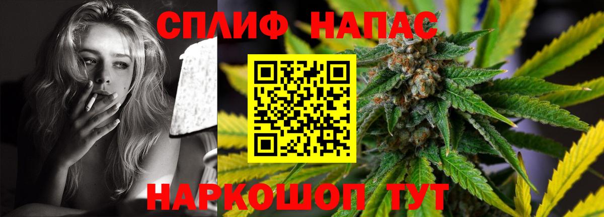 Конопля SATIVA & INDICA Томск